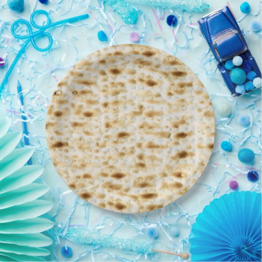 Pessach Pappteller (Party)