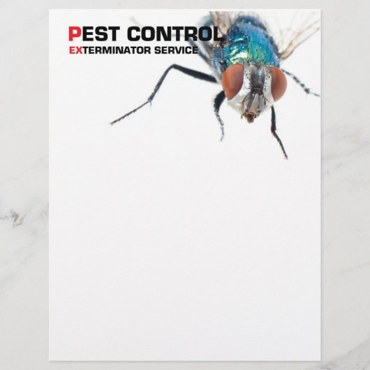 Pest-Kontrolle Flyer (Vorne)