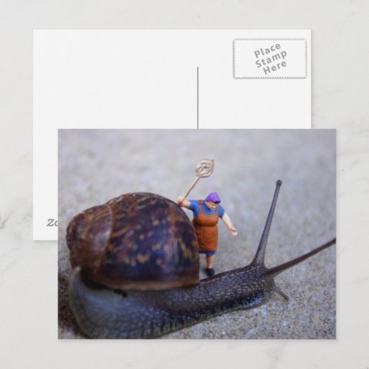 Pest-Kontrolle Postkarte (Vorne/Hinten)