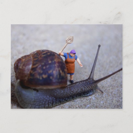 Pest-Kontrolle Postkarte (Vorderseite)