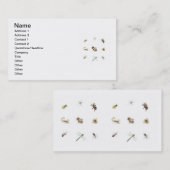 Pest-Kontrolle Visitenkarte (Vorne/Hinten)