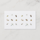 Pest-Kontrolle Visitenkarte (Rückseite)