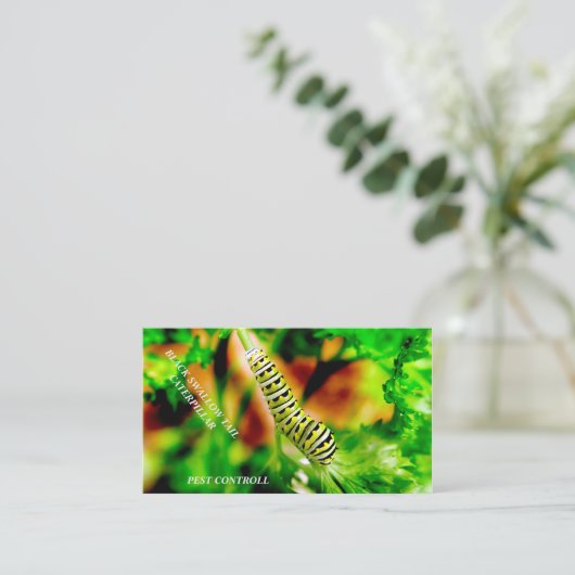 Pest Kontrolle Visitenkarte (Stehend Vorderseite)