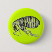 Pestfloh Button (Vorderseite)