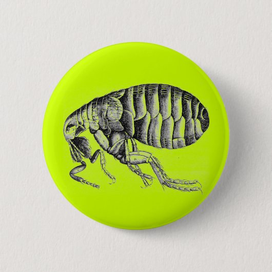 Pestfloh Button (Vorderseite)
