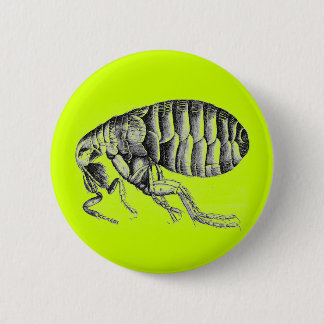 Pestfloh Button