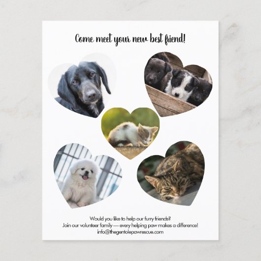 Pet Adoption Bake Sale Fundraiser Flyer (Hinten)