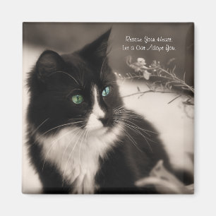 Pet Adoptions-Rettung Ihr Herz und adoptieren Sie Magnet