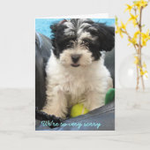 Pet Beileid - Havanese Welpe. . Karte (Gelbe Blume)
