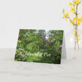 Pet Beileid-Lovely Lilac Bush Card Karte (Gelbe Blume)