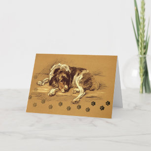 Pet Beileid Sad Hund Schöne Illustration Karte