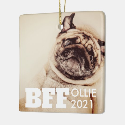 Pet Best Friends Forever Simple Modern Foto Keramikornament (Links)