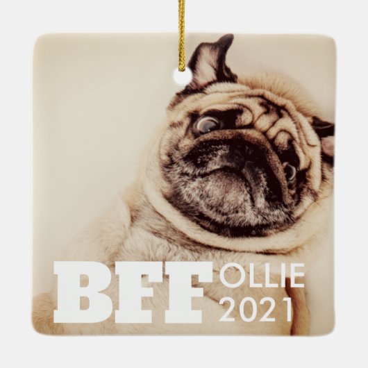 Pet Best Friends Forever Simple Modern Foto Keramikornament (Rückseite)