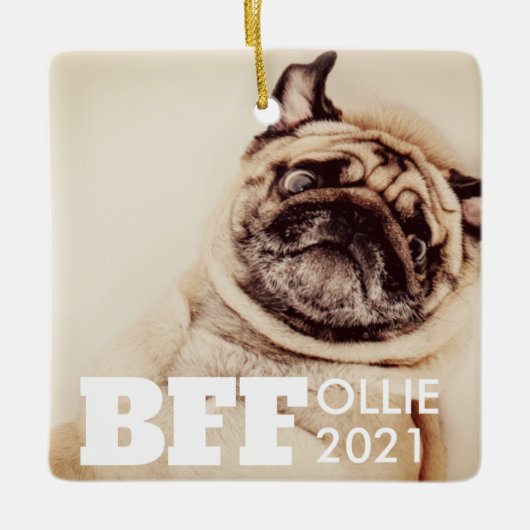 Pet Best Friends Forever Simple Modern Foto Keramikornament (Vorderseite)