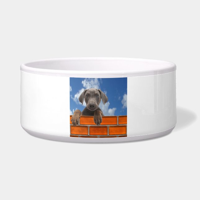 Pet-Bild für große Pet-Bowl Napf (Vorderseite)