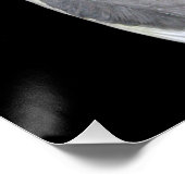 Pet Bird Cockatiel Foto Poster (Ecke)