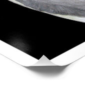 Pet Bird Cockatiel Fotografie Poster (Ecke)