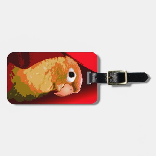 Pet Bird Green Cheek Conure Parakeet Eigentümer Pa Gepäckanhänger (Vorderseite horizontal)