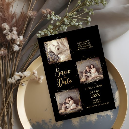 Pet Black Stilvoll Moderne Kalligraphie 3-Foto