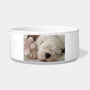 Pet Bowl Bulldog Welpenschläfchen Napf