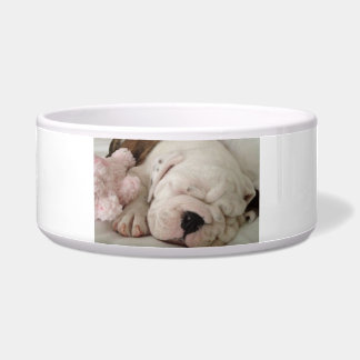 Pet Bowl Bulldog Welpenschläfchen Napf