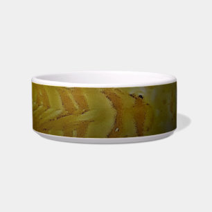 PET BOWL KERAMIK STYLE DESIGN NAPF