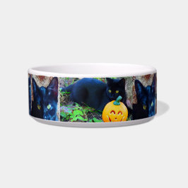 Pet Bowl, Mittel, Katzenfutterschale Napf