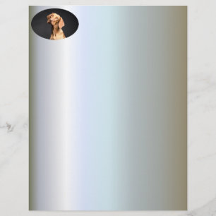 Pet Brown Beagle Dog