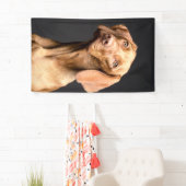 Pet Brown Beagle Dog Banner (Insitu)