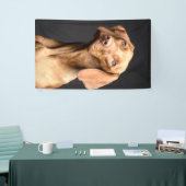 Pet Brown Beagle Dog Banner (Messeveranstaltung)