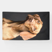 Pet Brown Beagle Dog Banner (Horizontal)