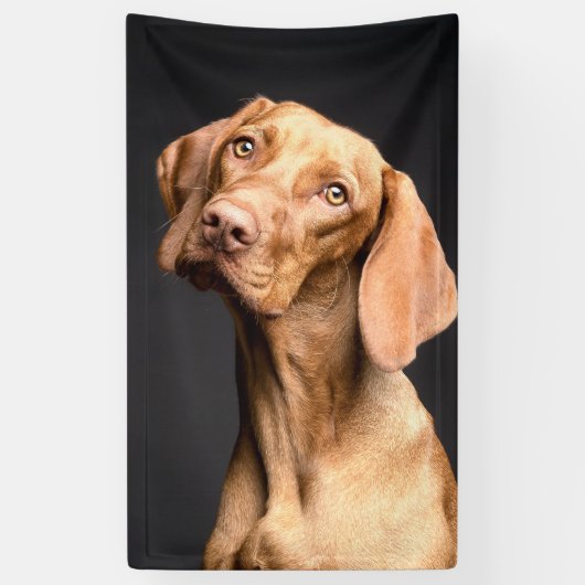 Pet Brown Beagle Dog Banner (Vertikal)