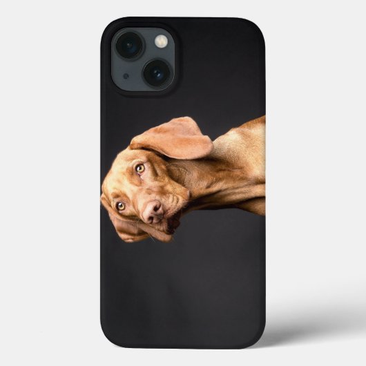 Pet Brown Beagle Dog Case-Mate iPhone Hülle (Rückseite)