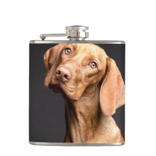 Pet Brown Beagle Dog Flachmann