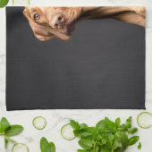 Pet Brown Beagle Dog Geschirrtuch (Gefaltet)
