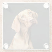 Pet Brown Beagle Dog Glasuntersetzer (Rückseite)