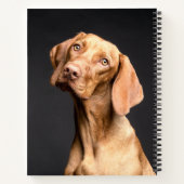 Pet Brown Beagle Dog Notizblock (Rückseite)