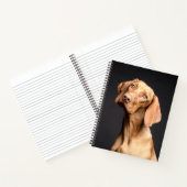 Pet Brown Beagle Dog Notizblock (Innenseite)
