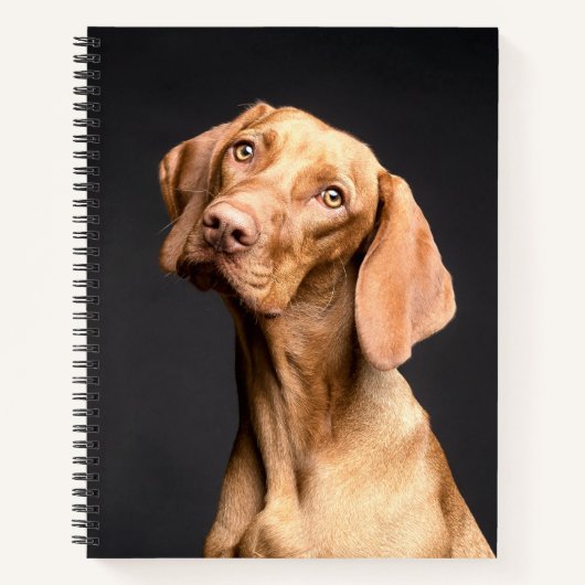 Pet Brown Beagle Dog Notizblock (Vorderseite)