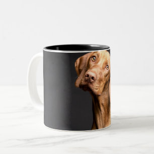 Pet Brown Beagle Dog Zweifarbige Tasse
