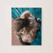 Pet Bunny Puzzle (Vertikal)