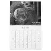 Pet Calendar 2011: Katzen und Hunde Kalender (Mär 2027)