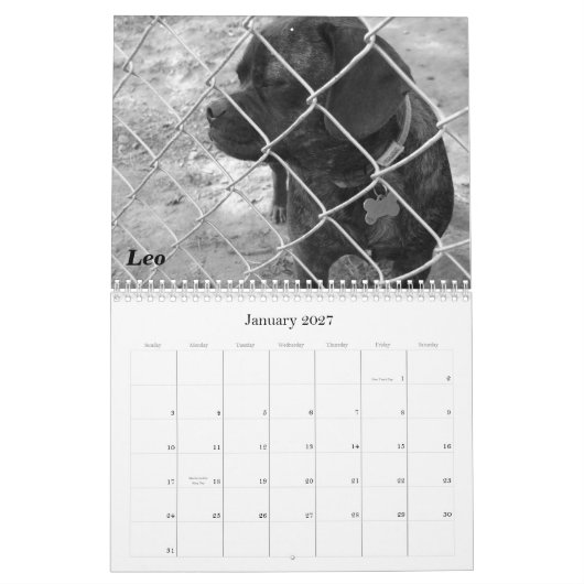 Pet Calendar 2011: Katzen und Hunde Kalender (Jan 2027)