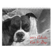 Pet Calendar 2011: Katzen und Hunde Kalender (Titelbild)