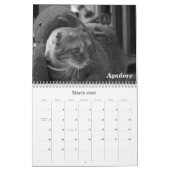 Pet Calendar 2011: Katzen und Hunde Kalender (Mär 2026)