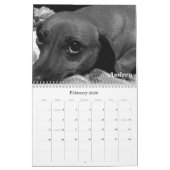 Pet Calendar 2011: Katzen und Hunde Kalender (Feb 2026)