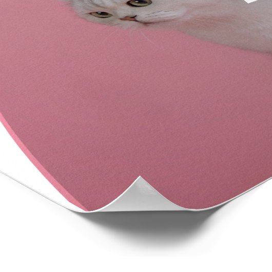 Pet Care Services Poster (Ecke)