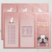 Pet Care Sitting Grooming Salon Tri-Fold Broschüre (Vorne/Hinten)