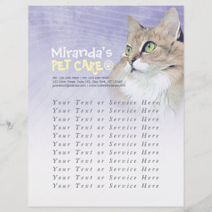 Pet Care Sitzen Baden Grooming Beauty Salon Katze Flyer
