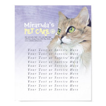 Pet Care Sitzen Baden Grooming Pet Beauty Salon